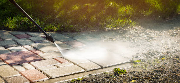 Best Warehouse Cleaning  in Clarence, IA